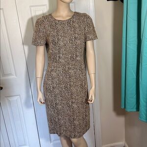 Calvin Klein Brown Knit Short Sleeve Dress